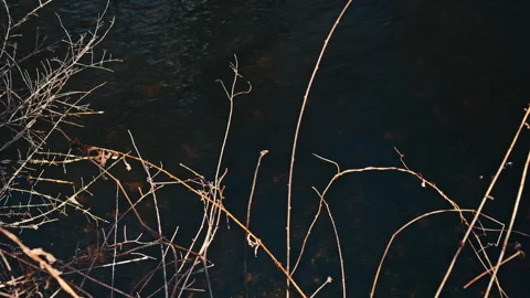 Water flowing Stock-Footage 331657009