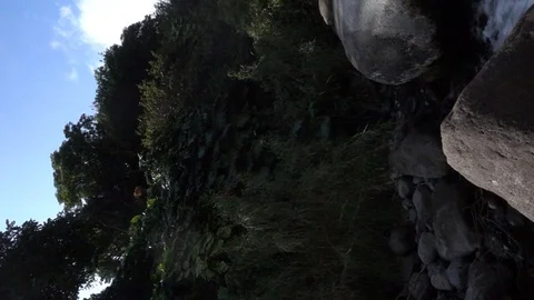 Water Flowing In The Forest Stock Footage 105142947