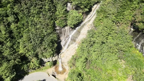 Water flowing forest Stock-Footage 238670317