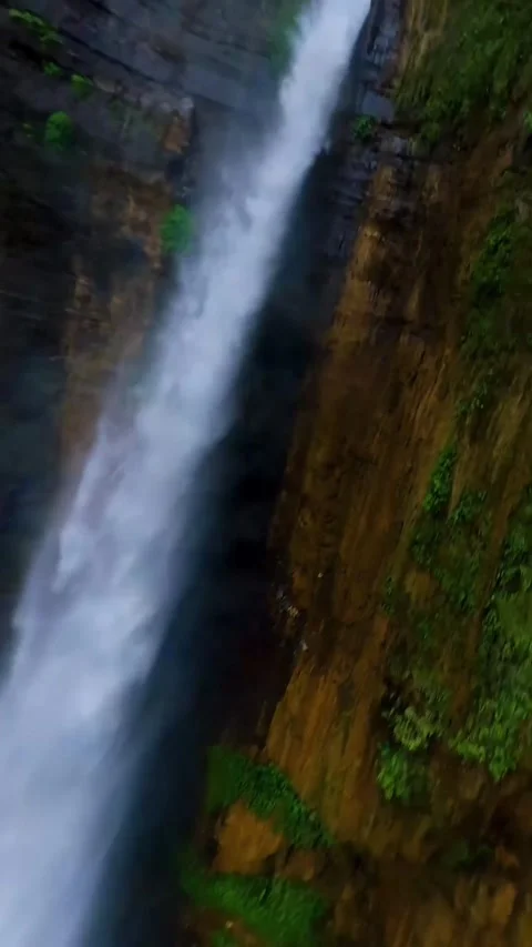 Water flowing into the forest Stock Footage 272298070