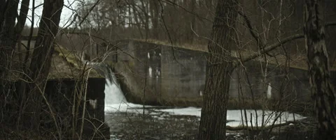 Water flowing into the forest Stock Footage 297633424