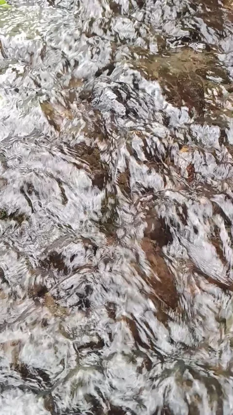 Water flowing in the forest Stock Footage 326321720