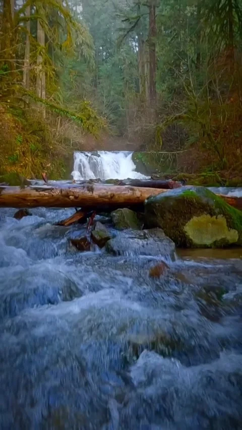 Water flowing in forest over rocks Stock Footage 274044470