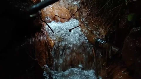 Water flowing into the forest, small stream Stock Footage 143049065