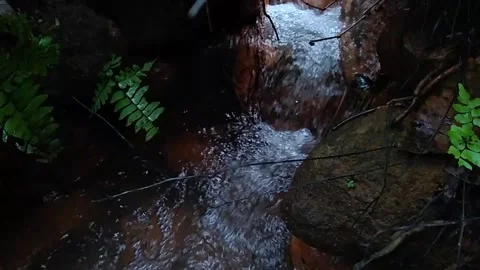 Water flowing into the forest, small stream Stock Footage 143049097