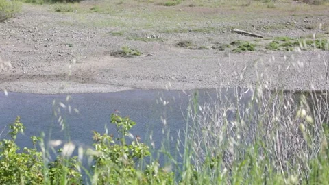 Water Flowing Gently Down a RIVER, (HD 24p) Stock Footage 272191474