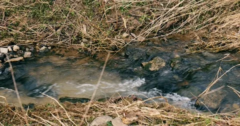 Water flowing in the grass Video stock 243742034