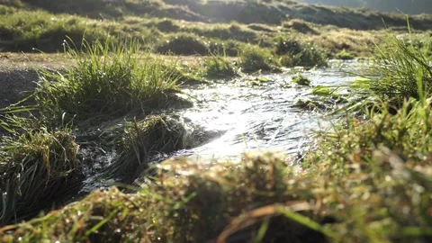 Water flowing off grassland into a stream in the bright morning sunshine Stock Footage 162117908