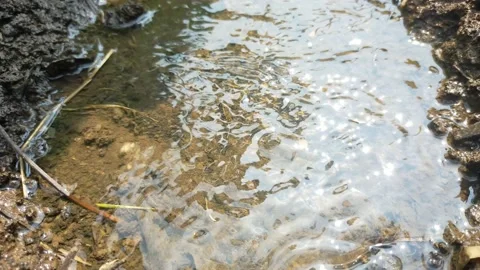 Water flowing on the ground Stock Footage 209125168