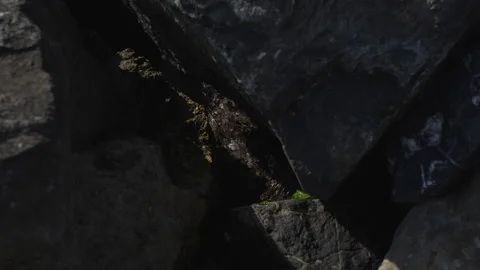 Water flowing from a gutter Stock-Footage 311490850
