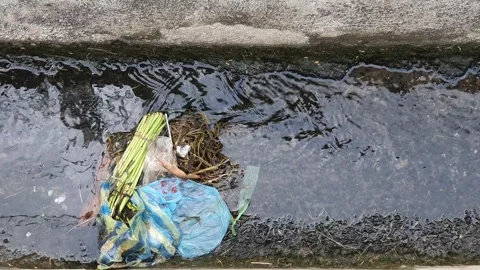 Water flowing in the gutter in front of the road Stock Footage 310287965