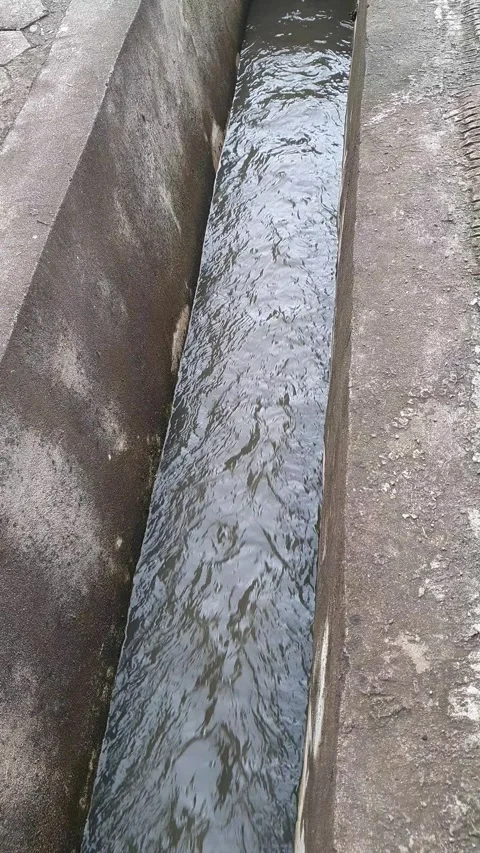 Water flowing in the gutter on the side of the public road 库存影片 332643845
