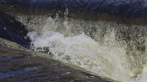 Water flowing intensely in a river stream Stock Footage 271381679