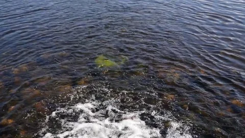 Water flowing into a lake 스톡 동영상 74604416