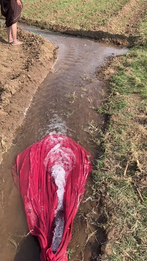Water Flowing from Large Pump Pipe in Farmland for Irrigation Видео 321586182