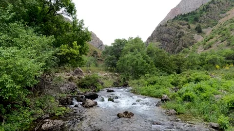 The water flowing from the mountain Stock Footage 171822354