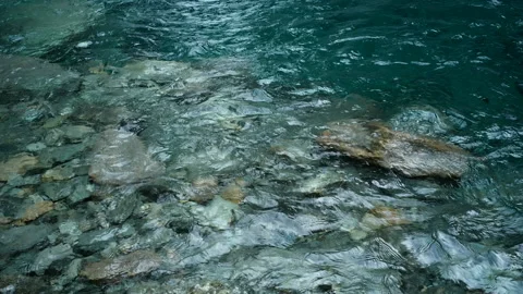 Water flowing in a mountain stream of the Gran Paradiso Park in Italy Video stock 160416626