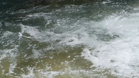 Water flowing in a mountain stream of the Gran Paradiso Park in Italy Video stock 225692949