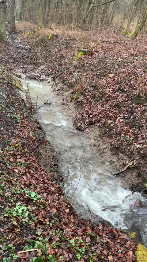 Water flowing in narrow forest stream Stock Footage 305116587