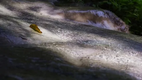 Water flowing in nature. Stock Footage 71324489