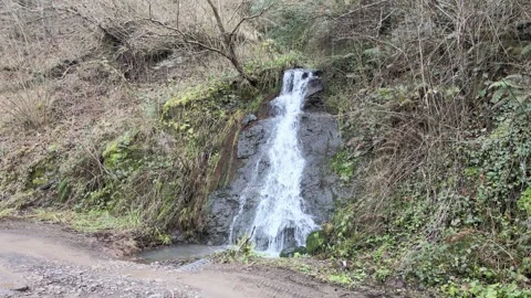Water flowing nature Stock-Footage 264015835