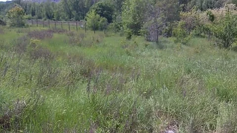 Water flowing in nature Video stock 324959038