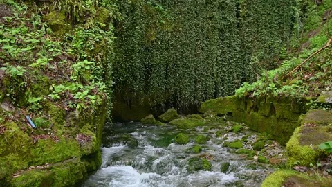 Water flowing next to abandoned mill in countryside area Stock Footage 190020390