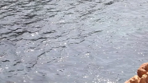 Water flowing into the ocean 動画素材 310231072