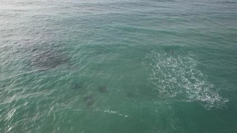 Water flowing into the ocean Video stock 310345150