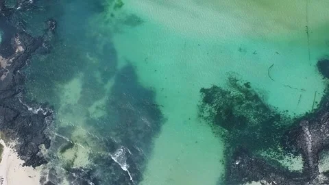 Water flowing into the ocean Video stock 310345231