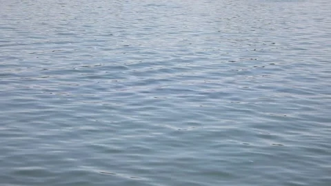  water flowing into the ocean Video stock 310355522