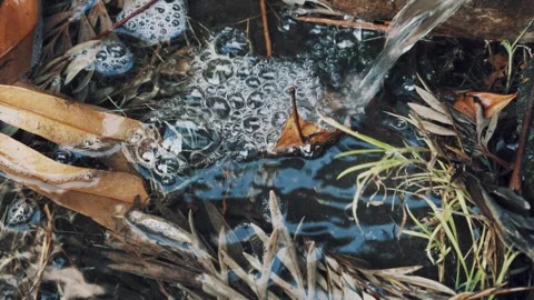 Water flowing out of drain pipe into puddle Stock Footage 249802043