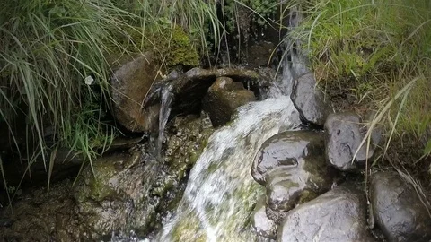Water flowing out of natural spring source and running along stream bed Stock Footage