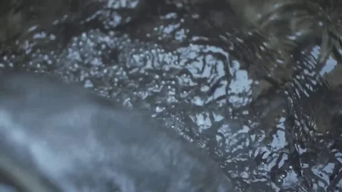 Water flowing out of a pipe in slow motion Video stock 79736808
