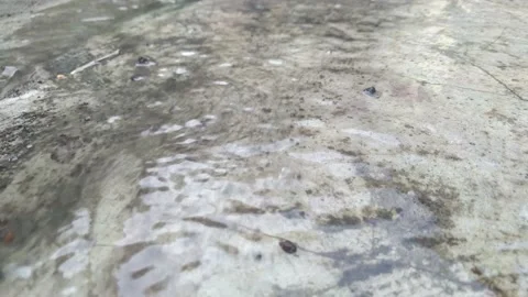 Water flowing over the floor Stock Footage 163098458