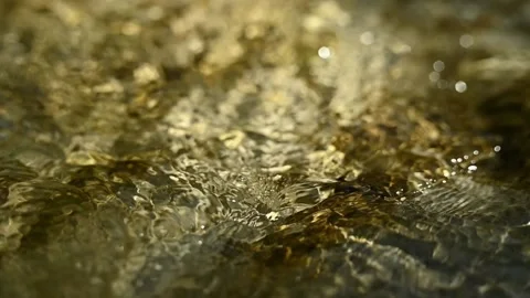 Water flowing over a leaf in a mountain riverbed (slow motion) Stock Footage 211747471