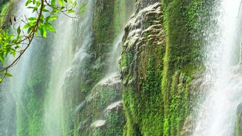Water Flowing Over Mossy Rocks in Vietnam 스톡 동영상 344016030