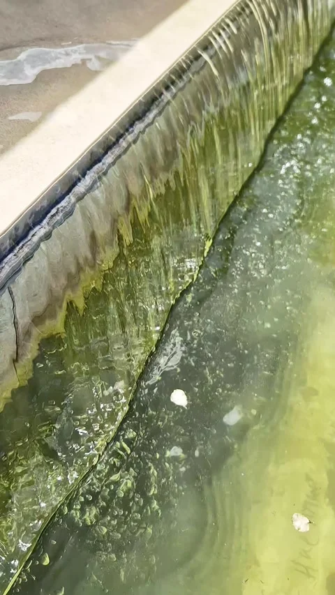 Water Flowing Over Mossy Stone Edge Into Rippling Garden Pond Stock Footage 339080065