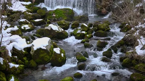 Water flowing over old manmade dam in pristine nature Stock Footage 168908528