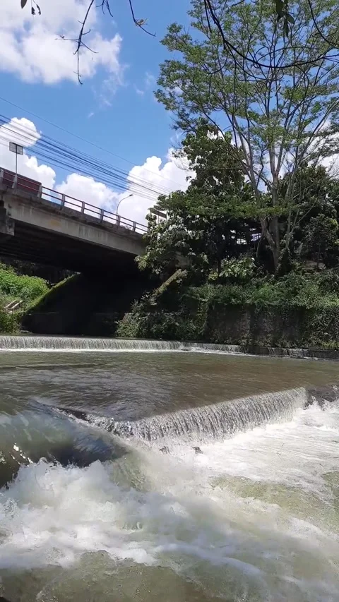 Water Flowing Over River Dam Under a Concrete Bridge with Green Trees Stock Footage 337646364