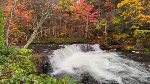 Water flowing over a river waterfall in autumn Stock Footage 245877911