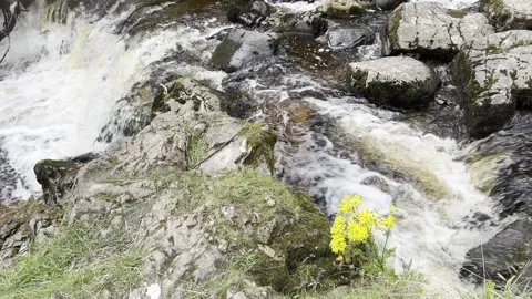 Water flowing over rocks and a little waterfall.  Stock Footage 281586755