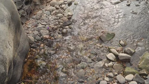Water flowing over rocks covered in moss.3 Stock Footage 280367198