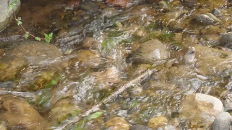 Water flowing over rocks covered in moss.4 Stock Footage 280367214