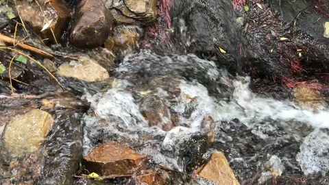 Water Flowing Over Rocks Stock Footage 87059609