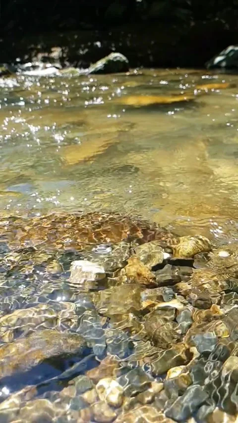 Water flowing over rocks Stock Footage 245578635
