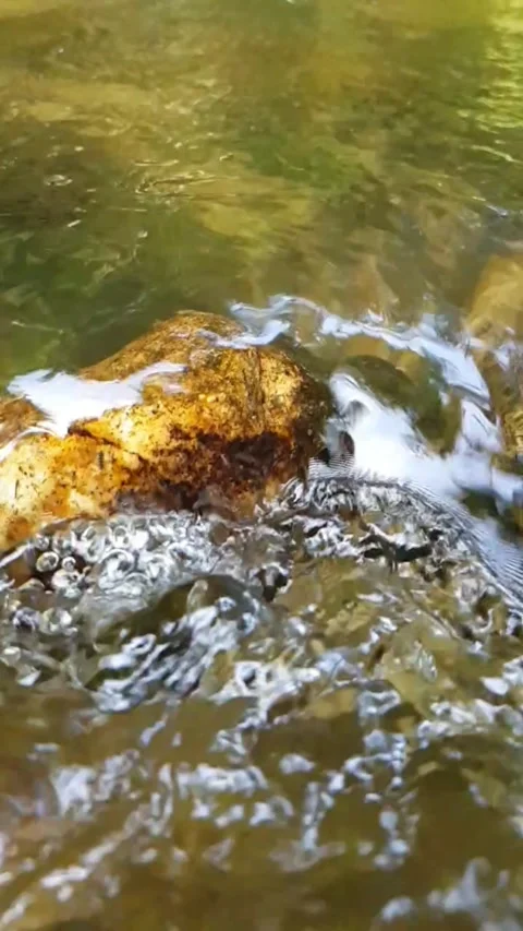 Water flowing over rocks Stock Footage 246136214