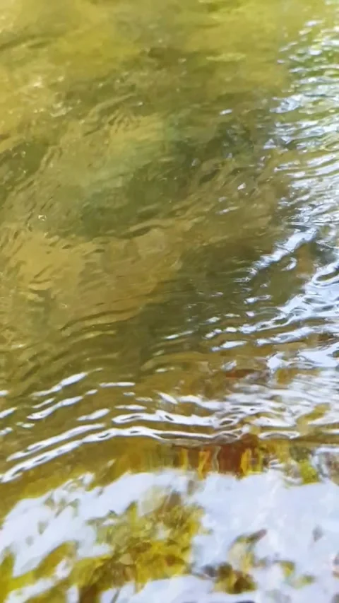 Water flowing over rocks Stock Footage 246137082
