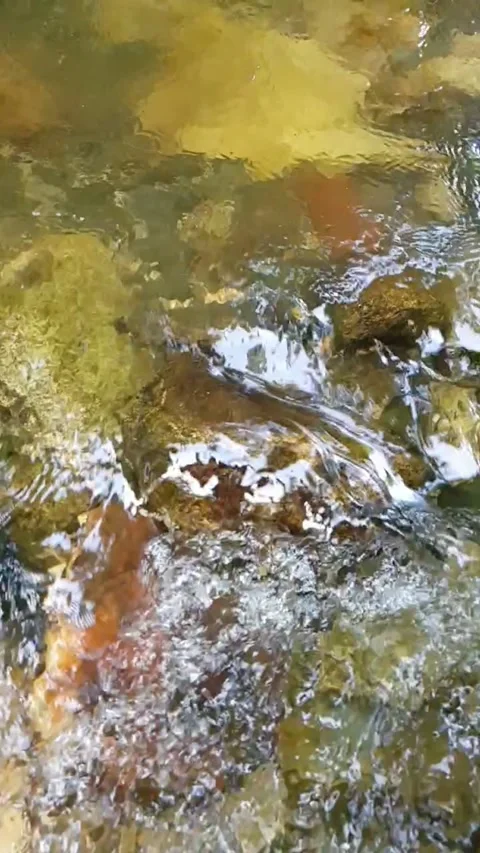 Water flowing over rocks Video stock 246137608