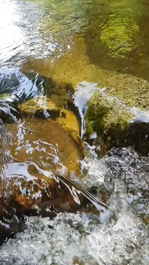 Water flowing over rocks Stock Footage 246138009